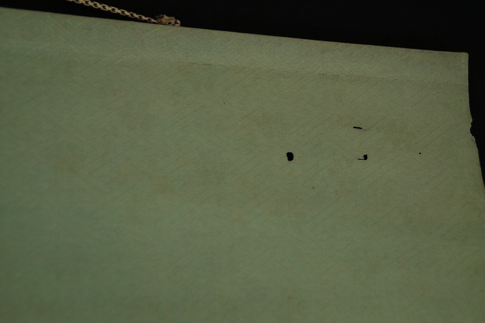 Close-up of the green patterned border of the hanging scroll