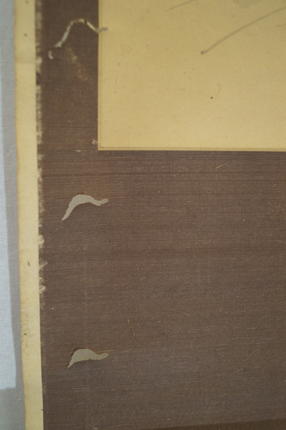 Bluete mit herabhaengender Fruchtkapsel Kakemono Montierungsdetail 2