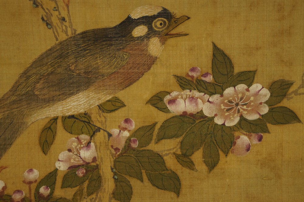 Singvogel Kopf und Rosenblueten Motiv Nahaufnahme