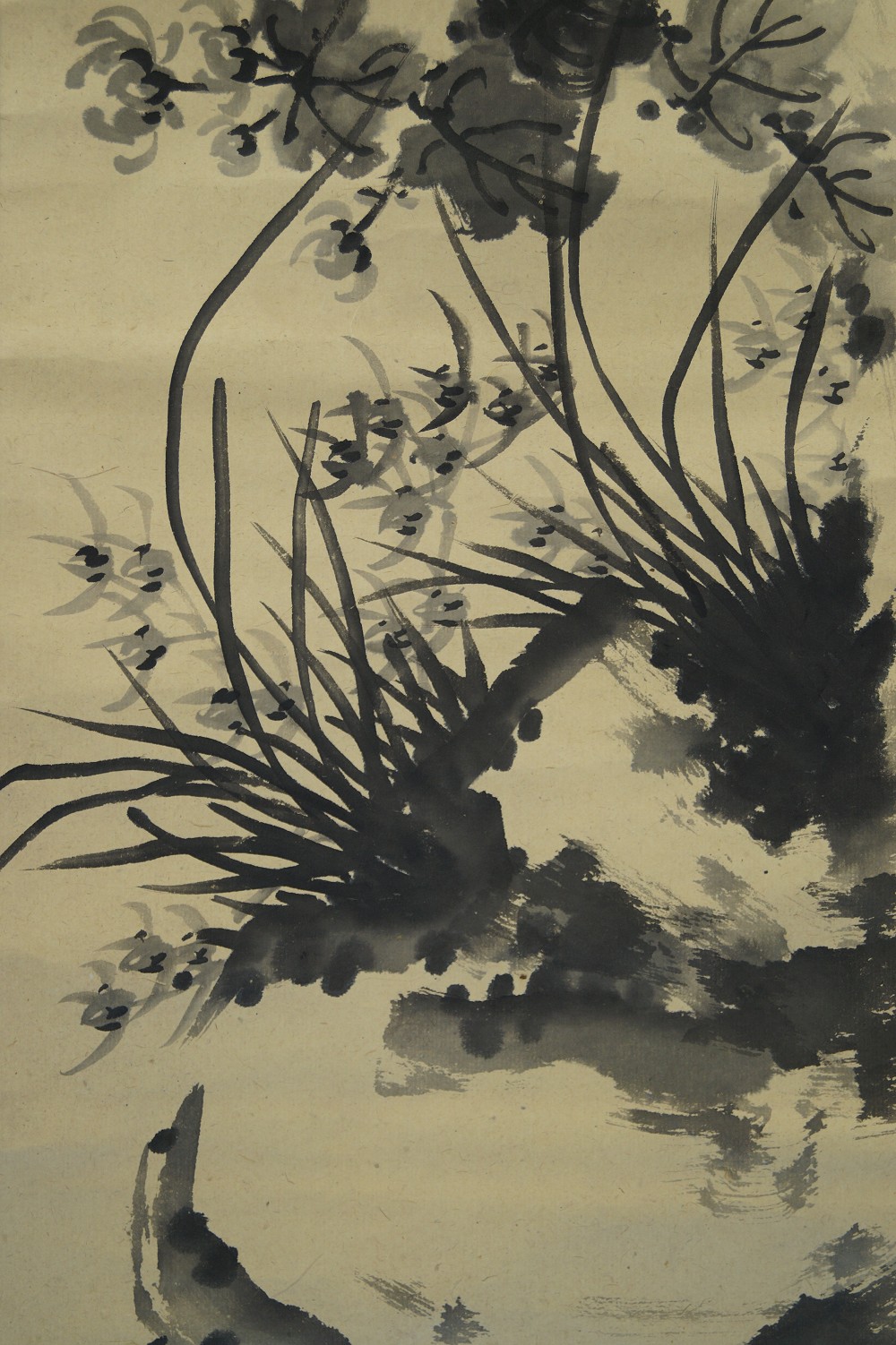 Chrysanthemum Hanging Scroll Chrysanthemum Motif Close-Up 3