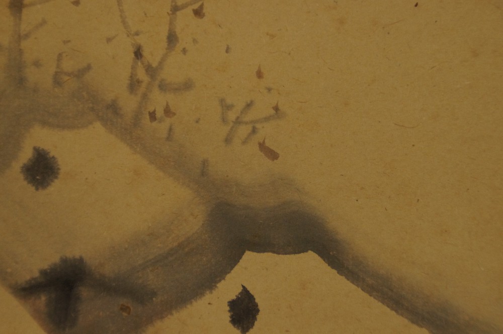 Close-up of the bare branch with scattered leaves against the snow landscape