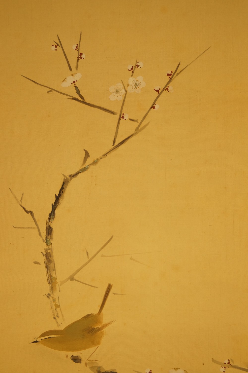 Bird on a Cherry Tree Branch by Yasuyama Tachiwaki Bird Close-Up 1