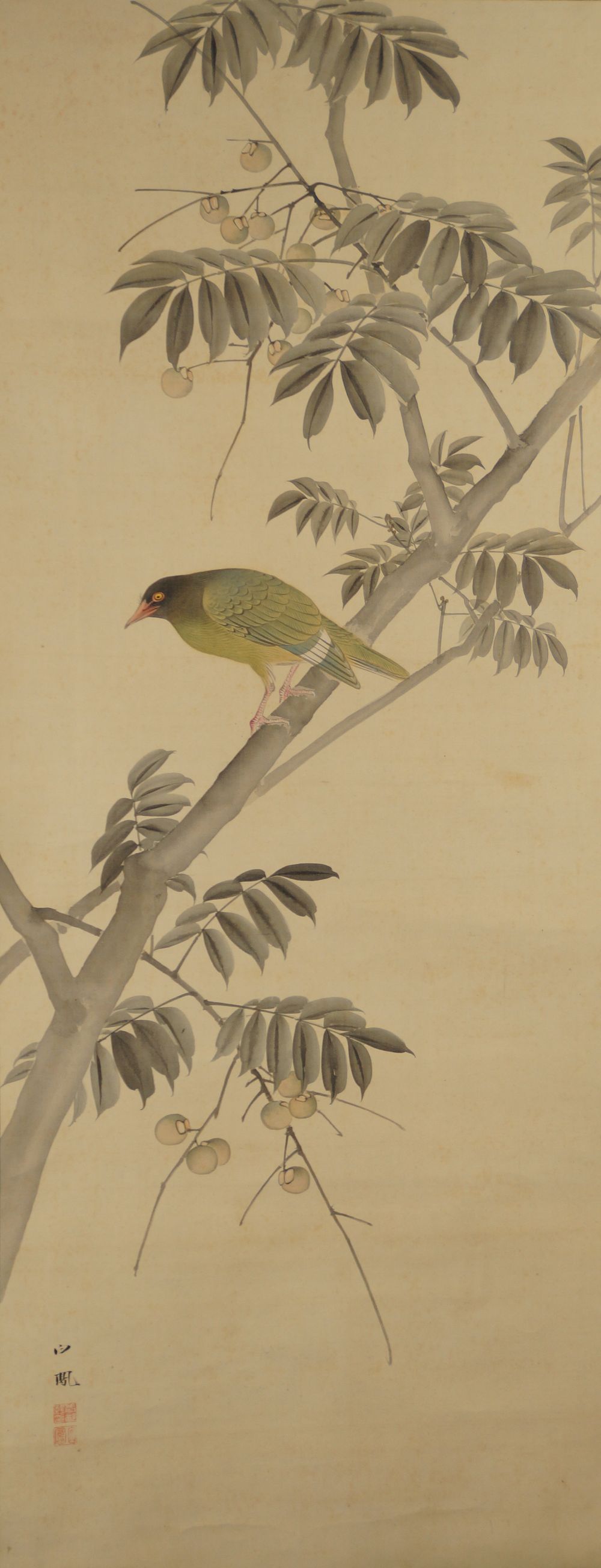Bird on Fruit Tree by Takebe Hakuho with green bird on fruit-bearing branch